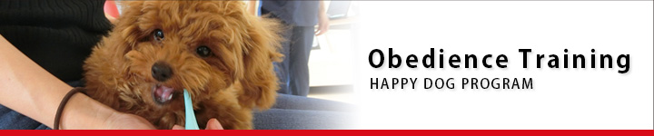 Obedience Training　HAPPY DOG PROGRAM