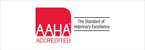 当院は日本で唯一のAAHA（全米動物病院協会）認定病院です。