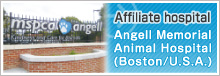 Hospitals in Liaison　Angell Memorial Animal Hospital(Boston/U.S.A.)