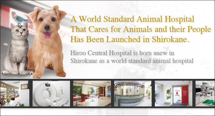 A World Standard Animal Hospital That Cares for Animals and their People Has Been Launched in Shirokane.