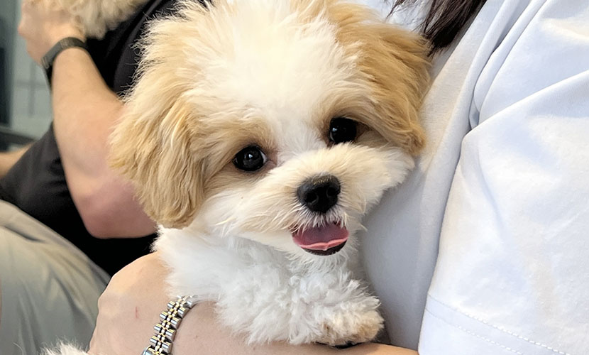 ララちゃん