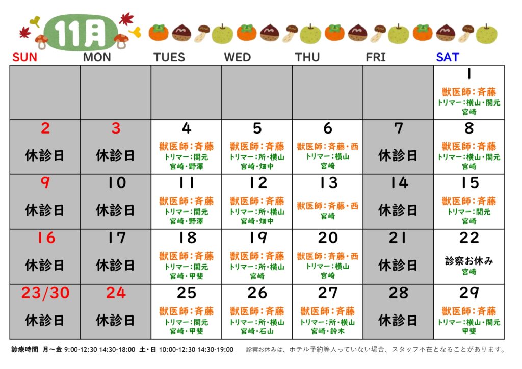 2025年11月の診療日