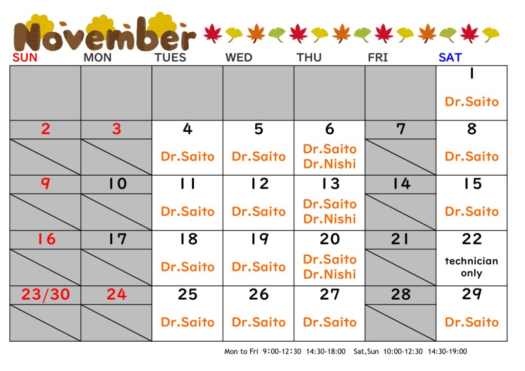 2025年11月の診療日（英語）